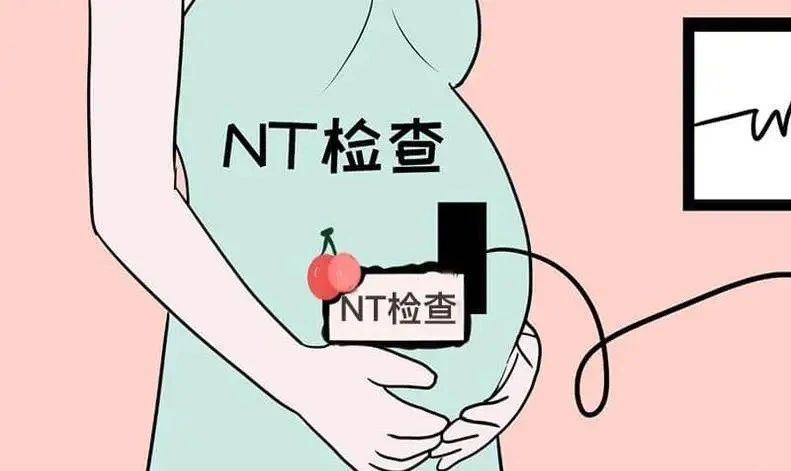 ̥һP(gun)NTz顱ʋǧfe`