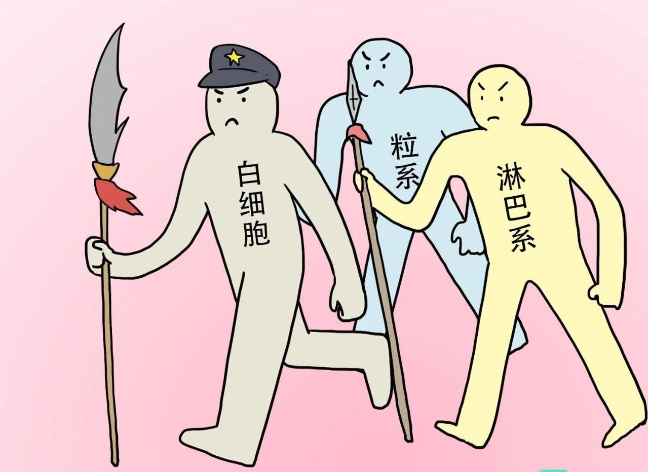 ѪҎ(gu)(bo)м^ǽt